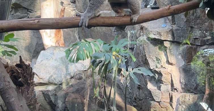 メディア コラージュ