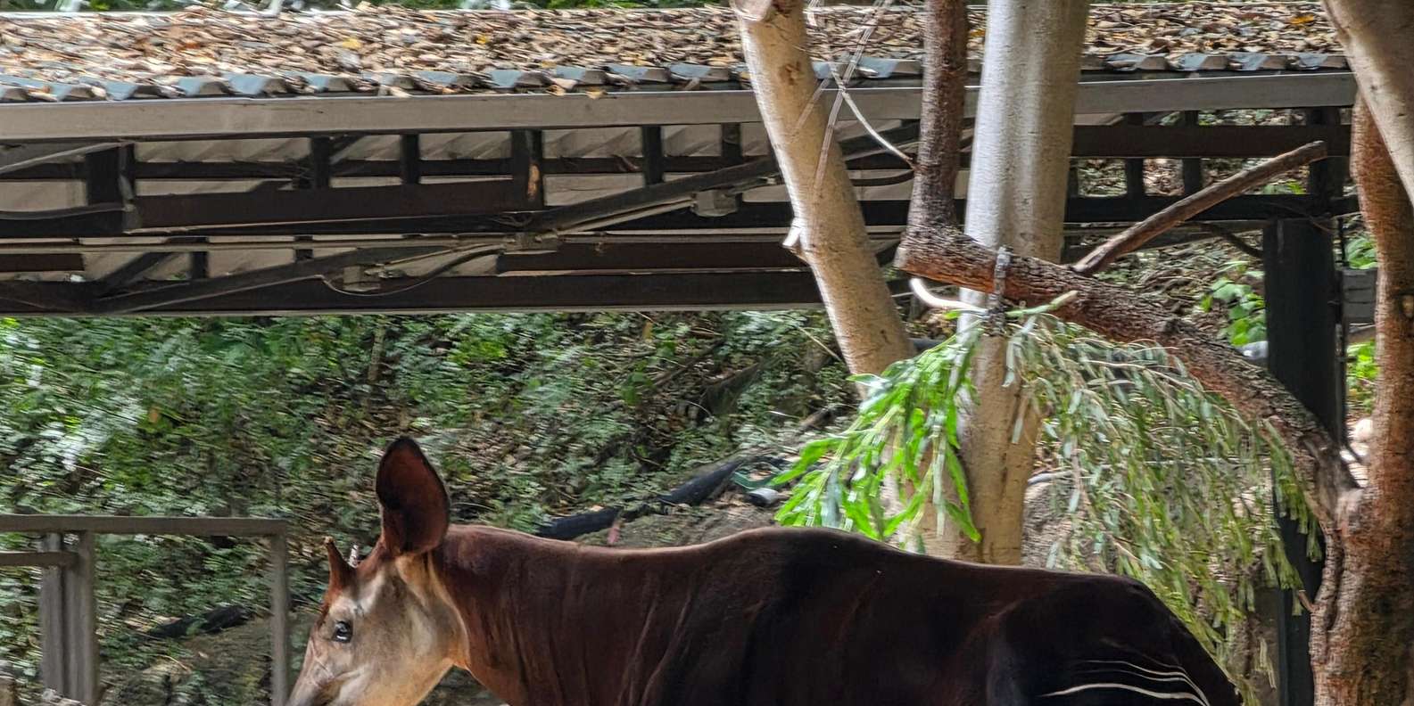 Guest photo from review