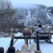 GetYourGuide listing photograph 3: Sámi Reindeer Sledding with Best Arctic with Best Arctic AS