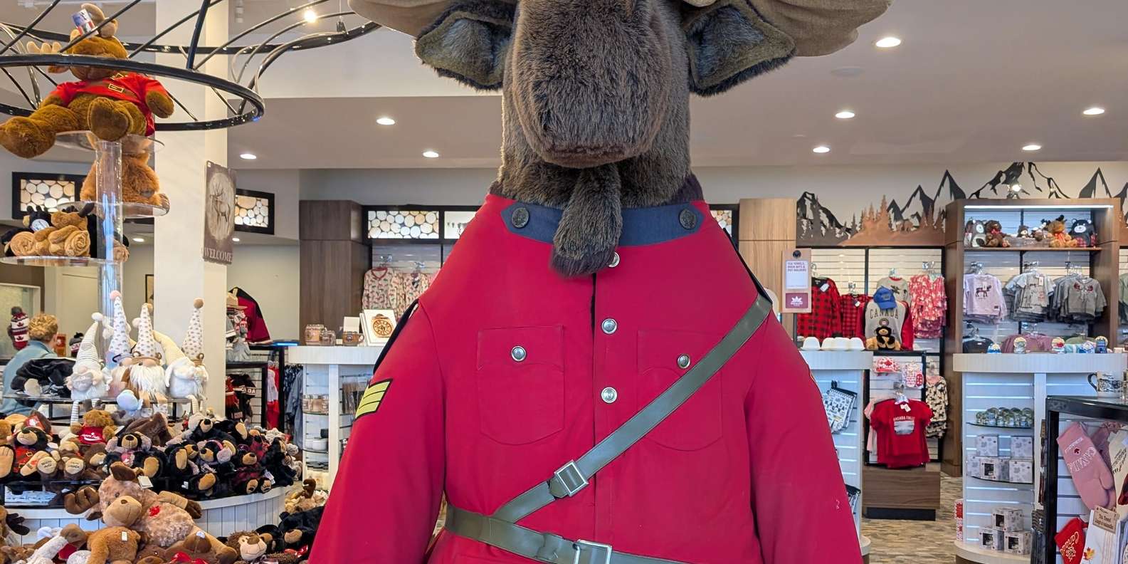 Guest photo from review