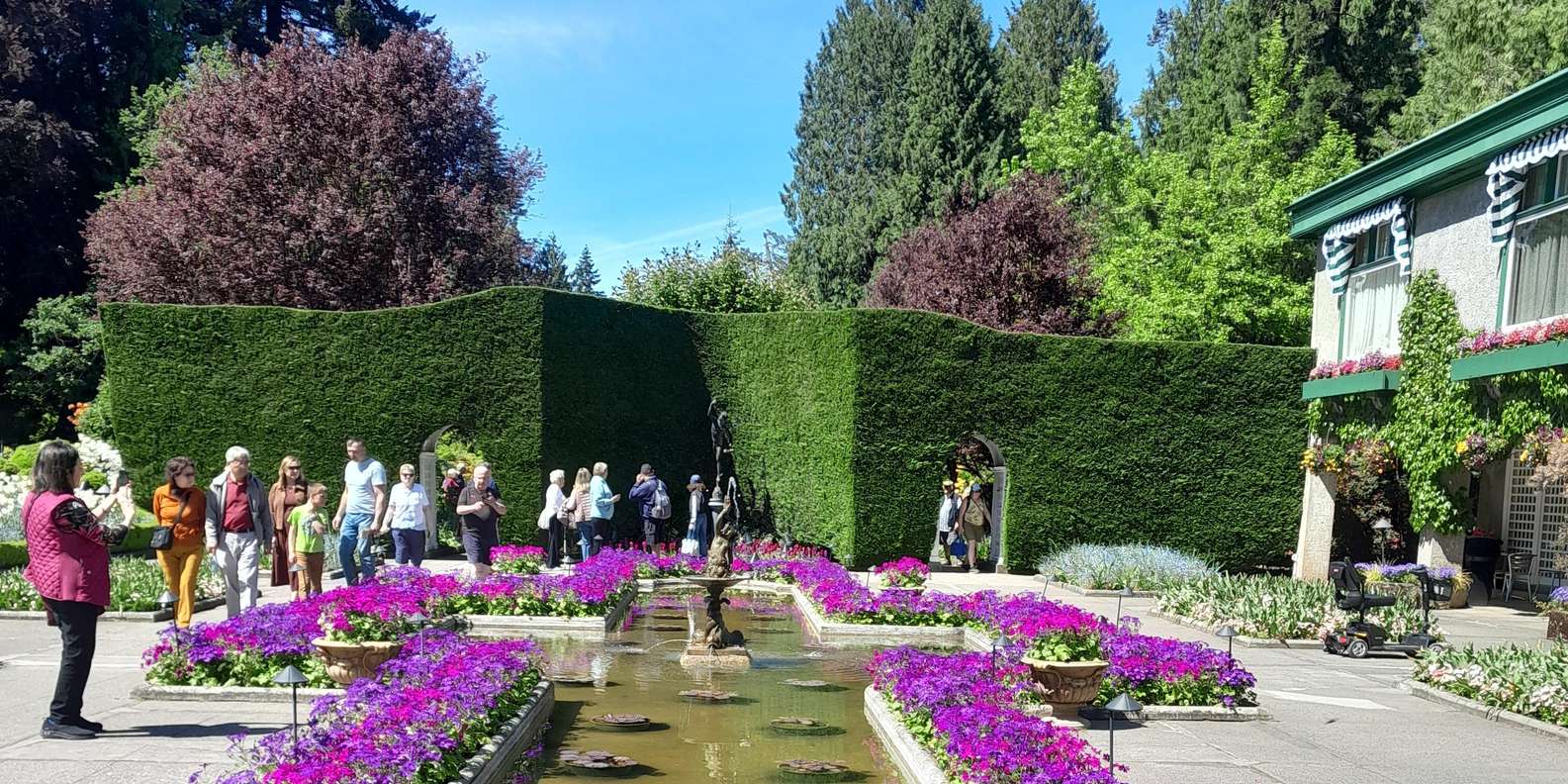 Guest photo from review