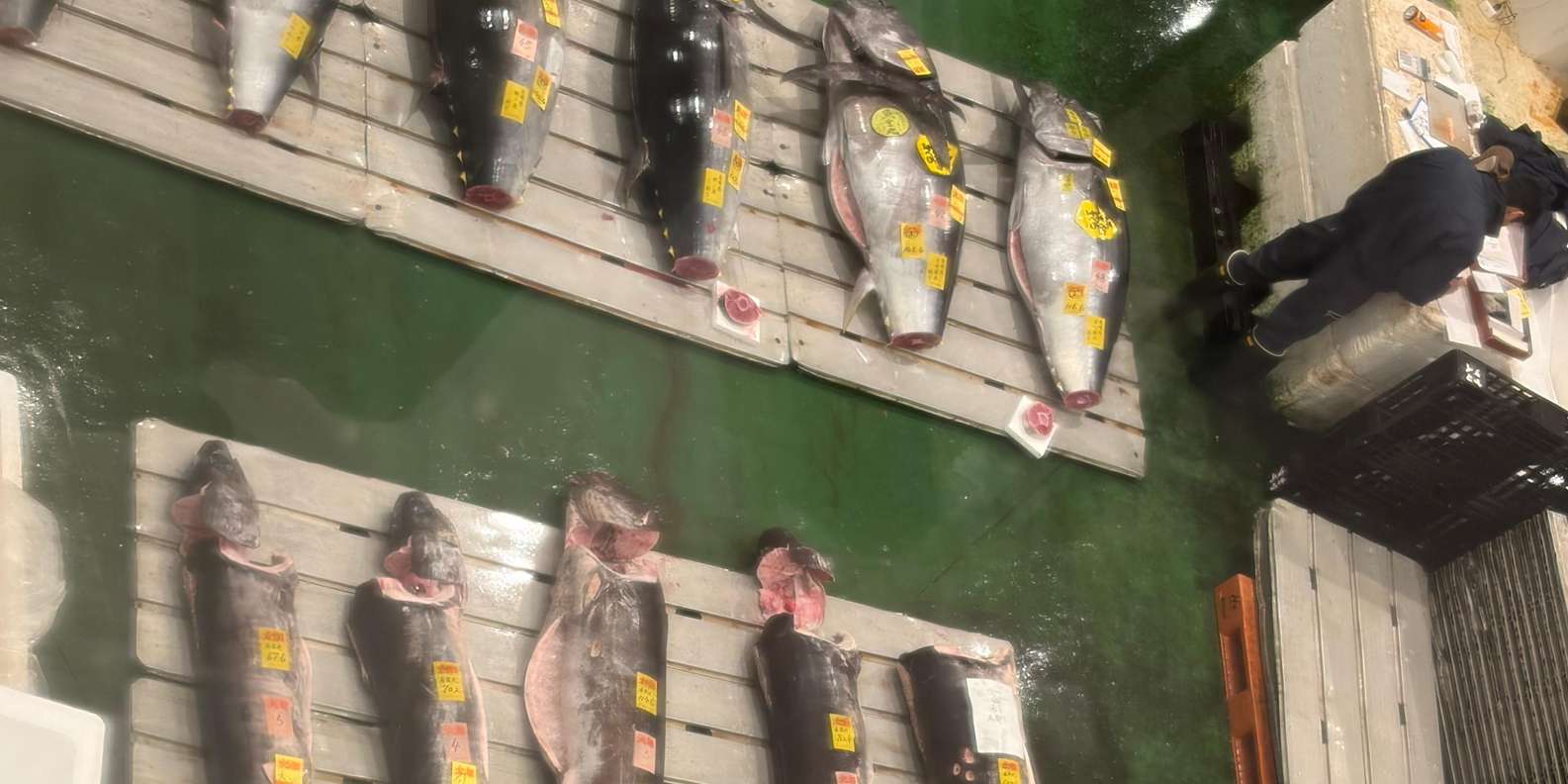 Guest photo from review