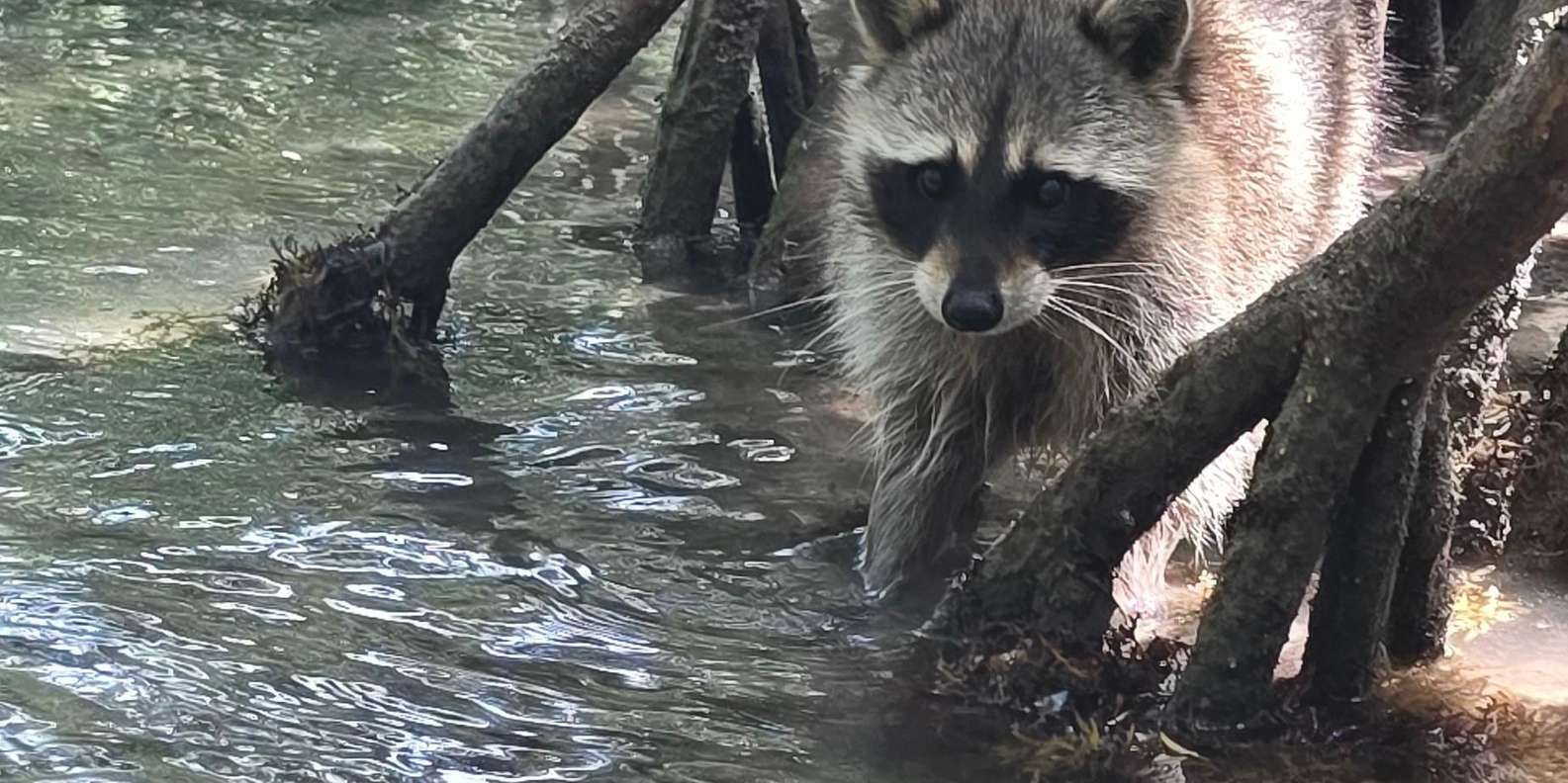 Guest photo from review