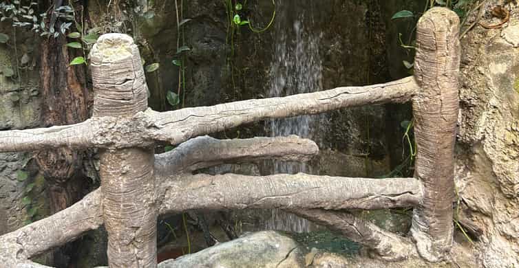 Kolaj