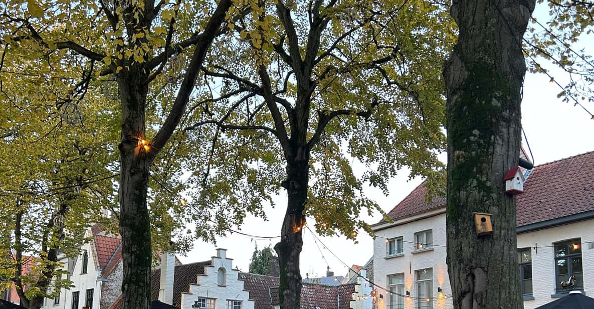 Brügge, 2-stündige private Kick-Start-Tour mit einem Einheimischen - Hizvo
