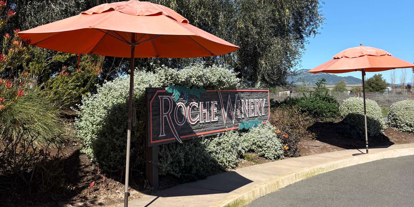 Guest photo from review
