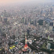 Tokyo Skytree And Tokyo Tower Helicopter Tour T1053839 — photo 7