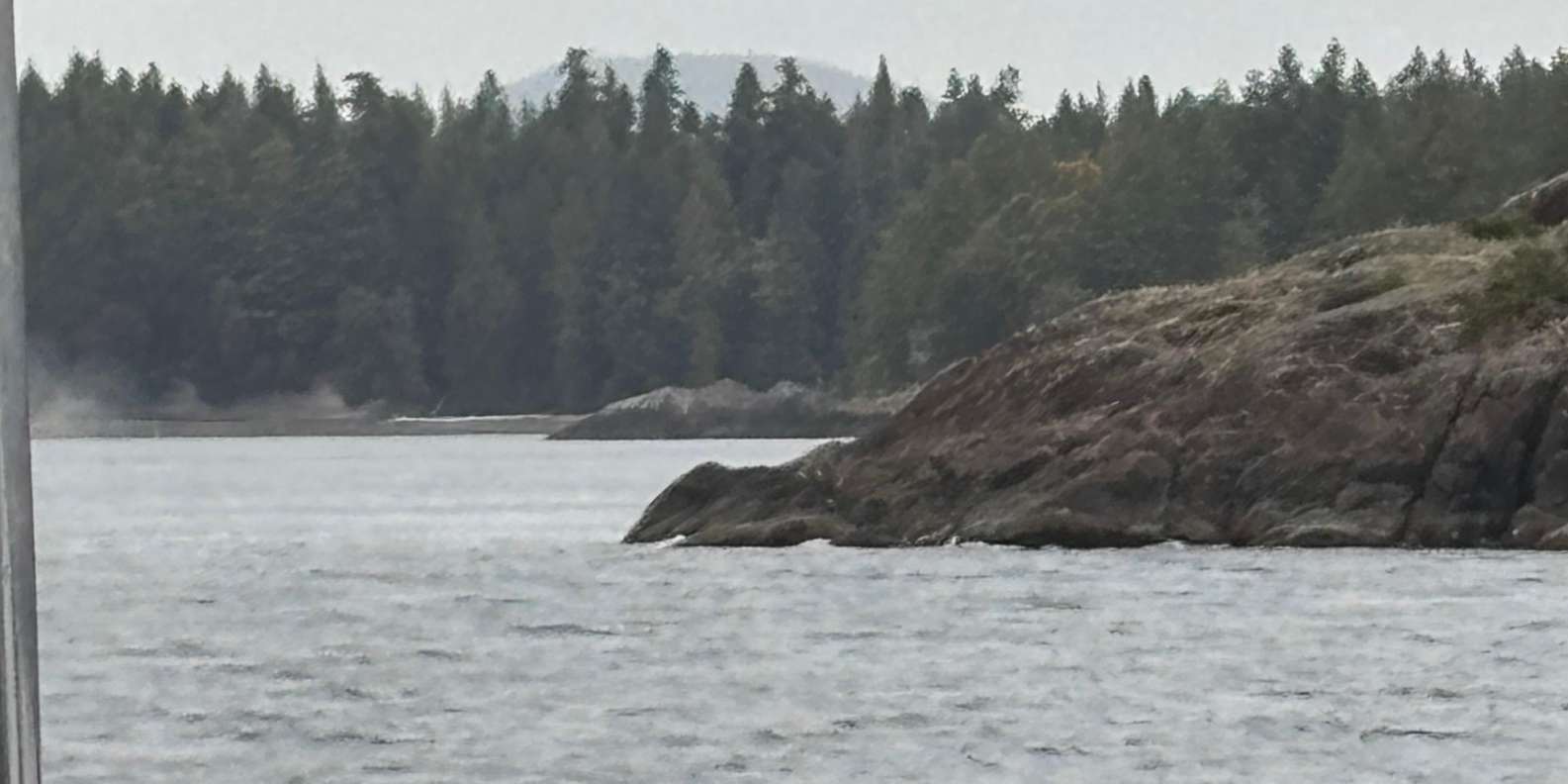 Guest photo from review