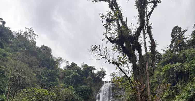 Colagem de mídia