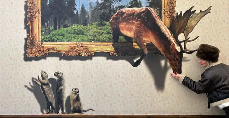Galerie média