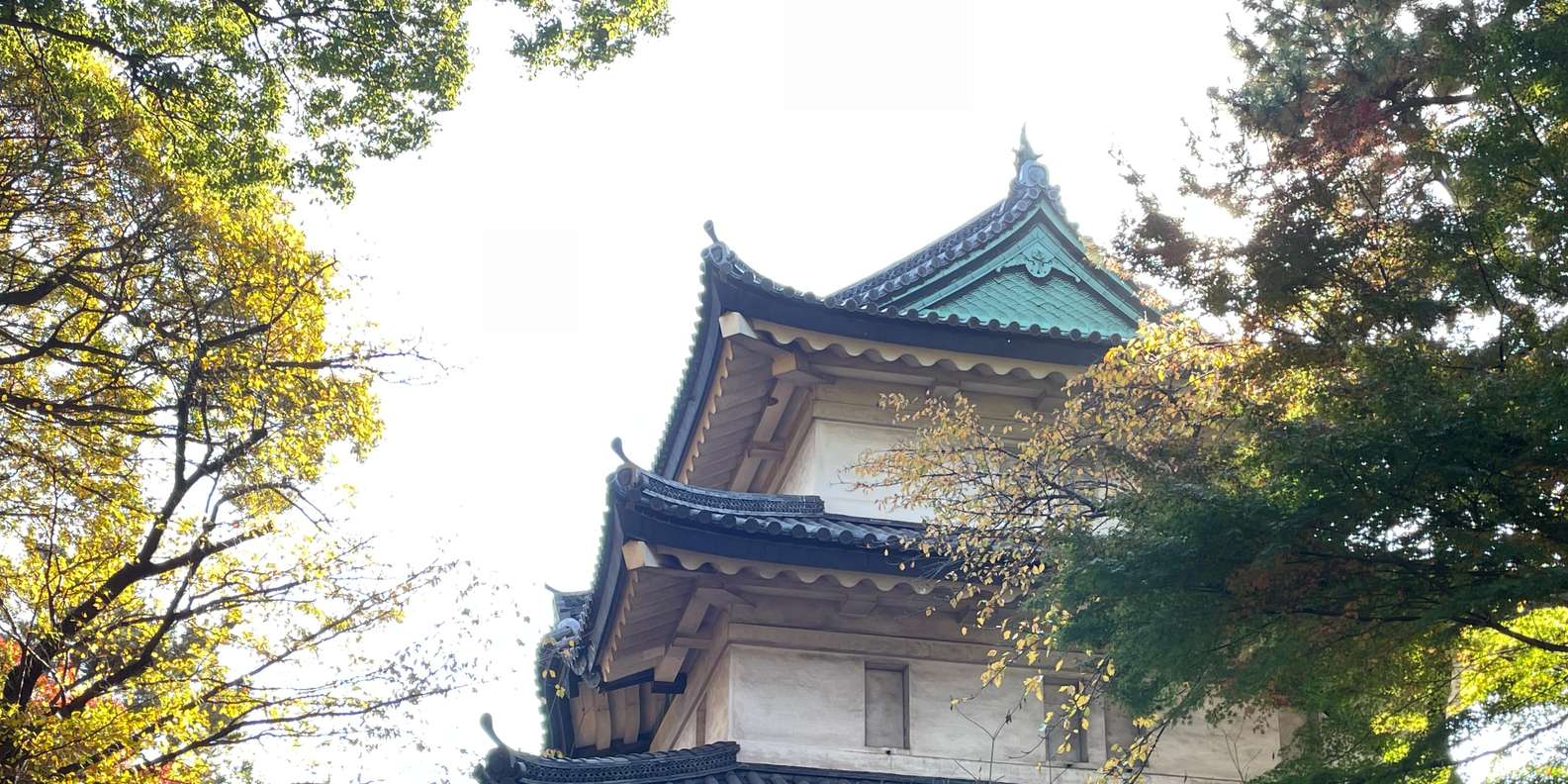 Guest photo from review