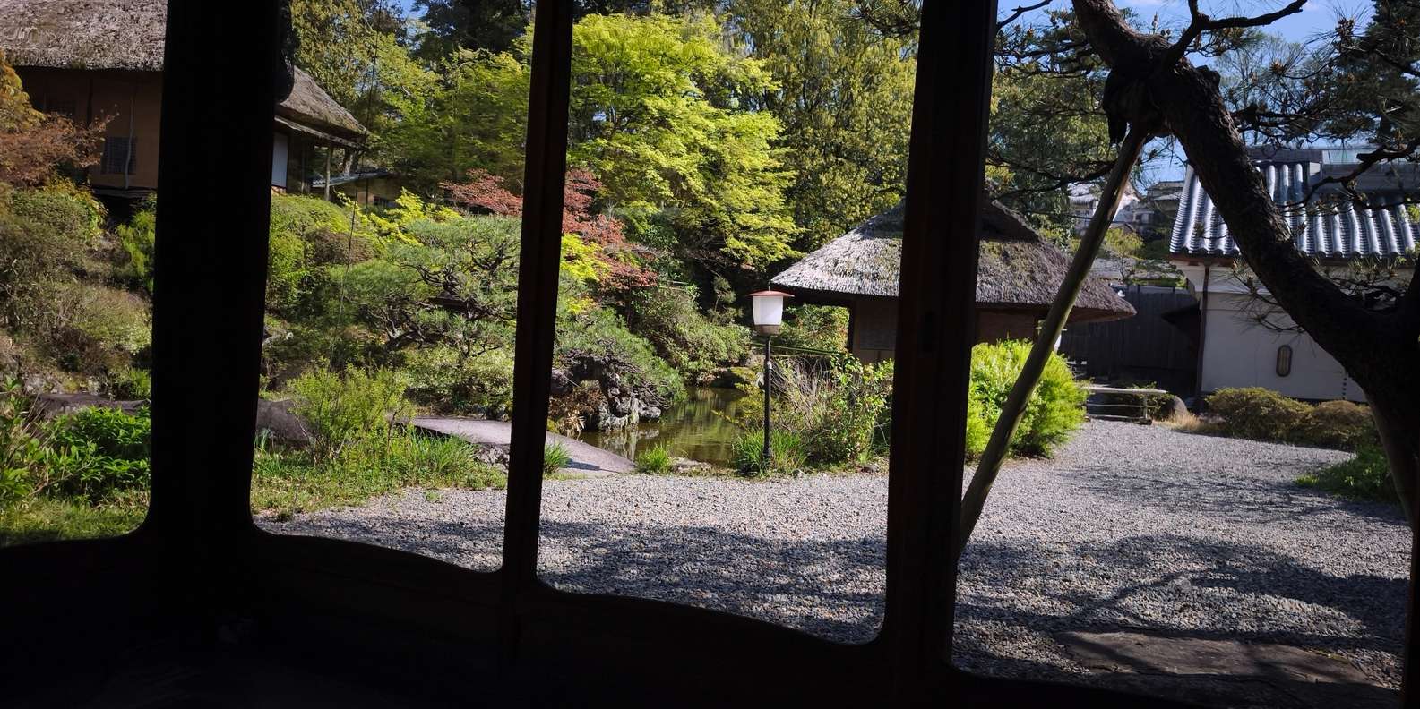 Guest photo from review