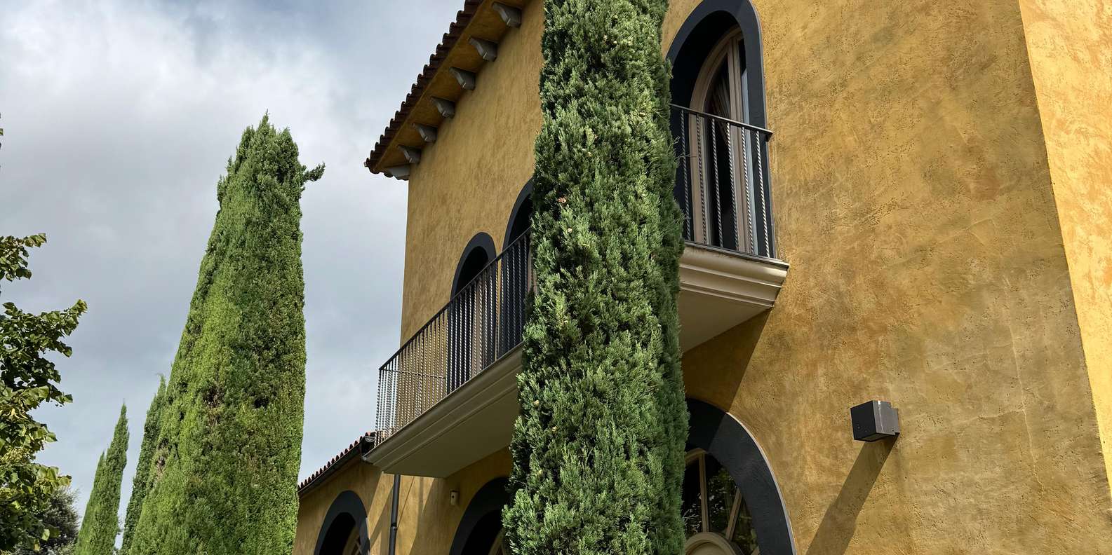 Guest photo from review