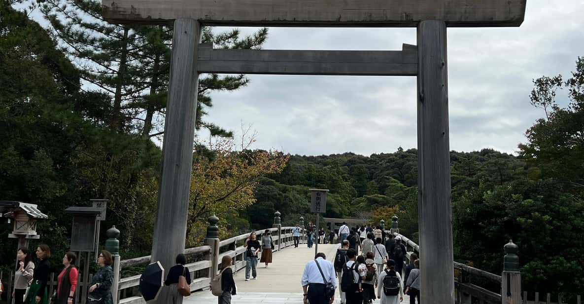 メディア コラージュ