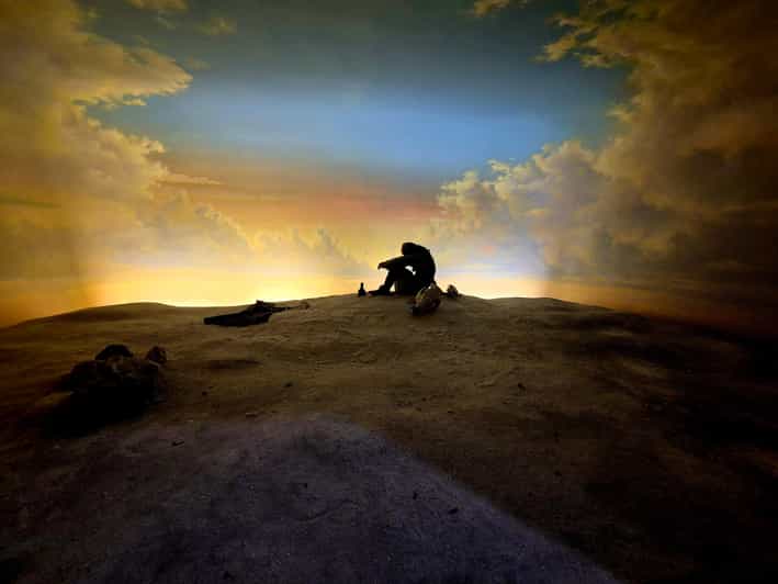 Customizable half day group tour (price per vehicle)