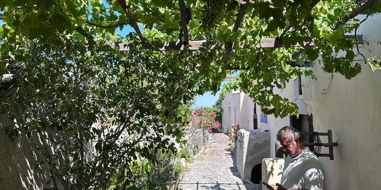 Guest photo from review