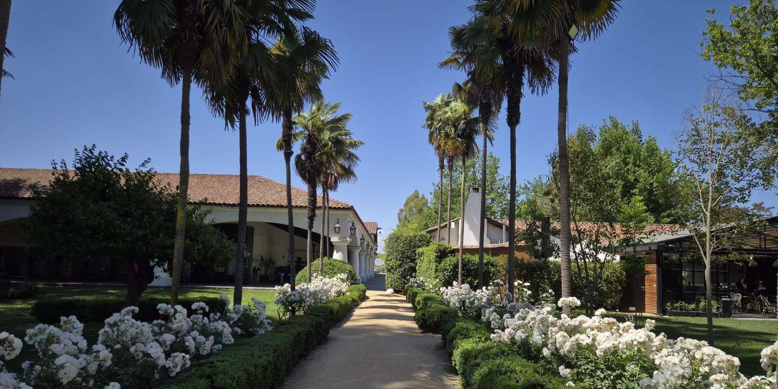 Guest photo from review