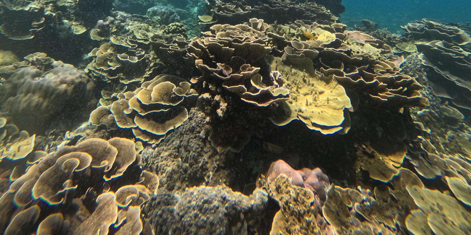 Guest photo from review