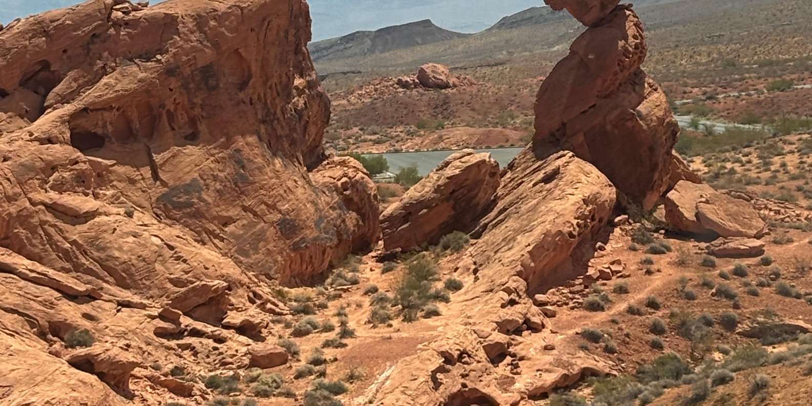 Guest photo from review