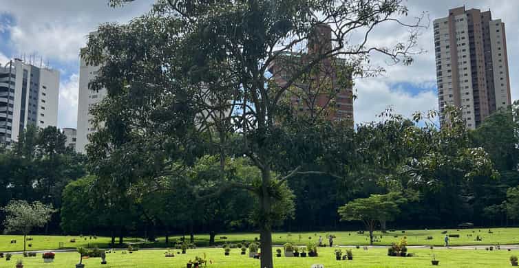 Colagem de mídia