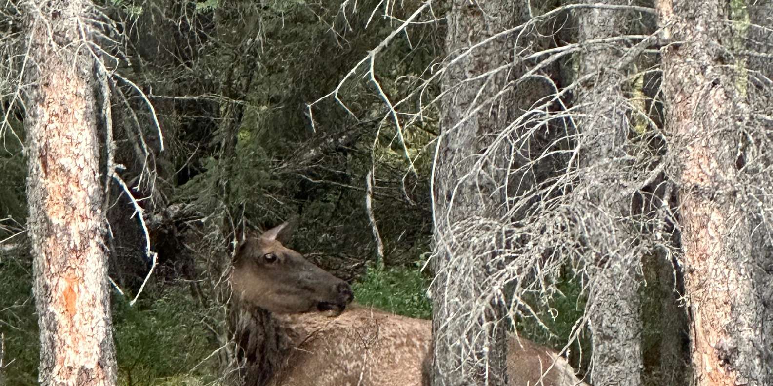 Guest photo from review