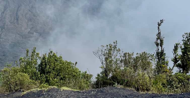 Galería de fotos para redes