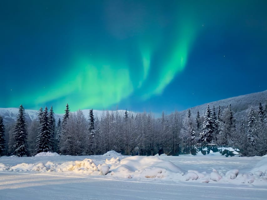 Fairbanks: Northern Lights and Chena Hot Springs Tour