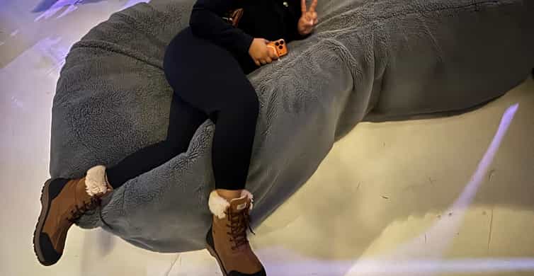 Chicago: Balloon Museum - EmotionAir - Entry Tickets