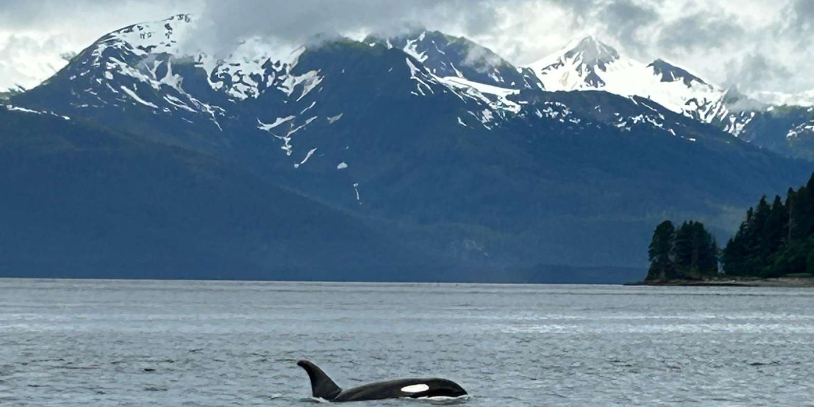 Guest photo from review