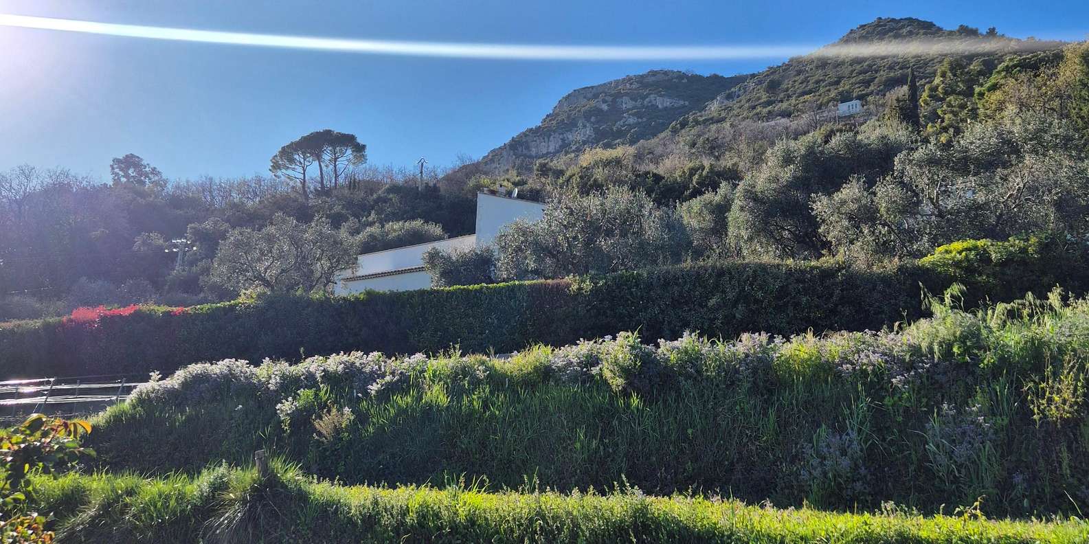 Guest photo from review