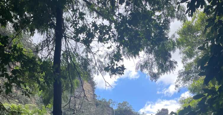 Colagem de mídia