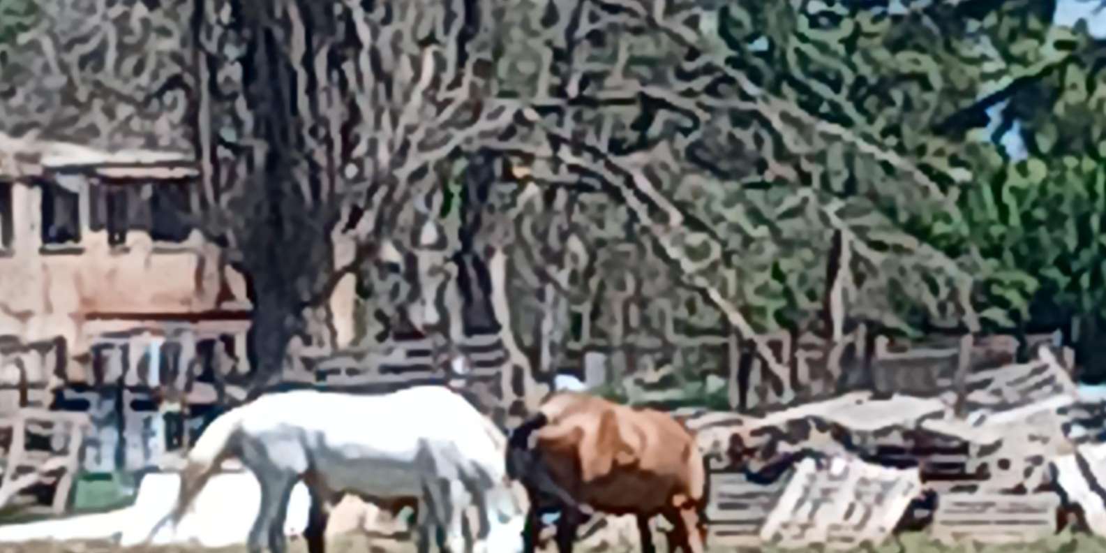 Guest photo from review