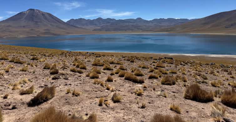 Galería de fotos para redes