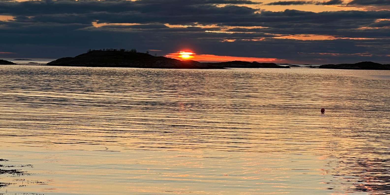Guest photo from review