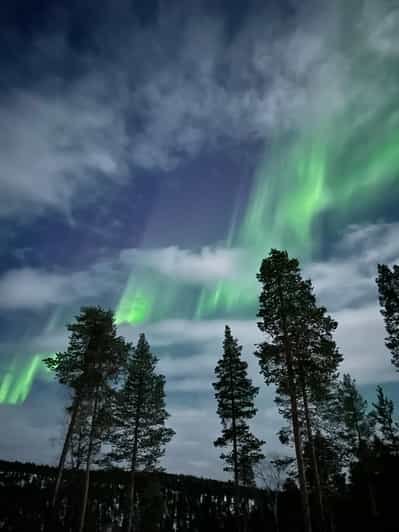 サーリセルカのオーロラ オーロラ | GetYourGuide