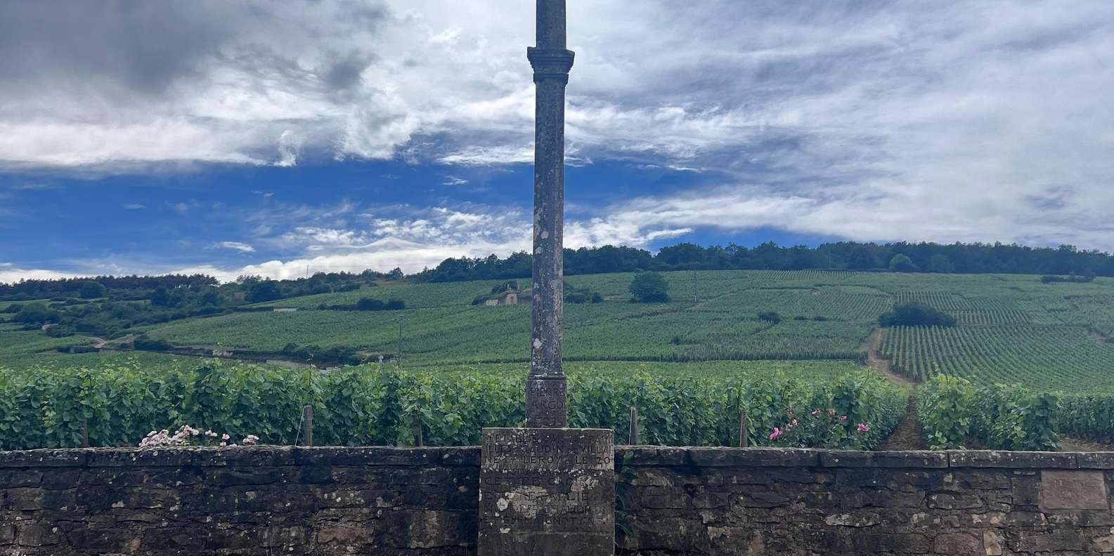 Guest photo from review