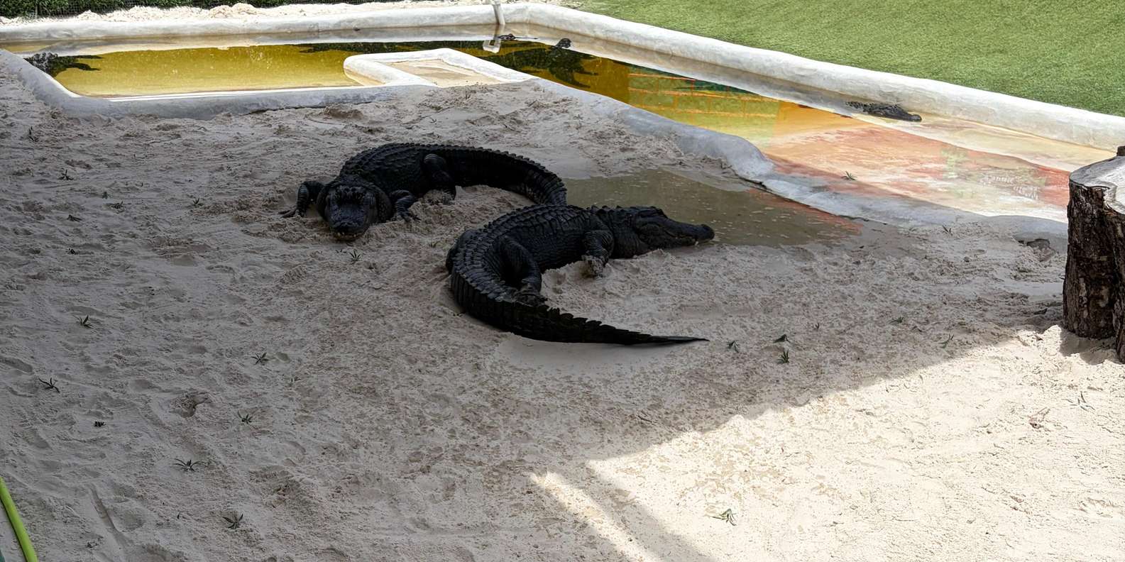 Guest photo from review
