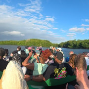 Caroni, tour della palude della fauna selvatica del Bird Sanctuary - Hizvo