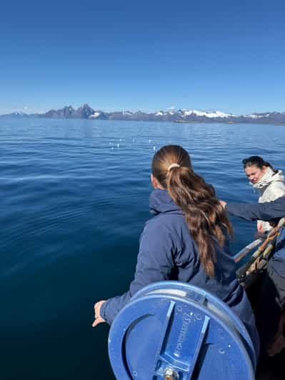ロフォーテン諸島：伝統的な釣り旅行 - 2026件（実際の体験者からの