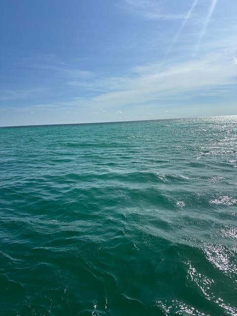 Destin: Dolphin Cruise aboard a Glass-Bottom Boat