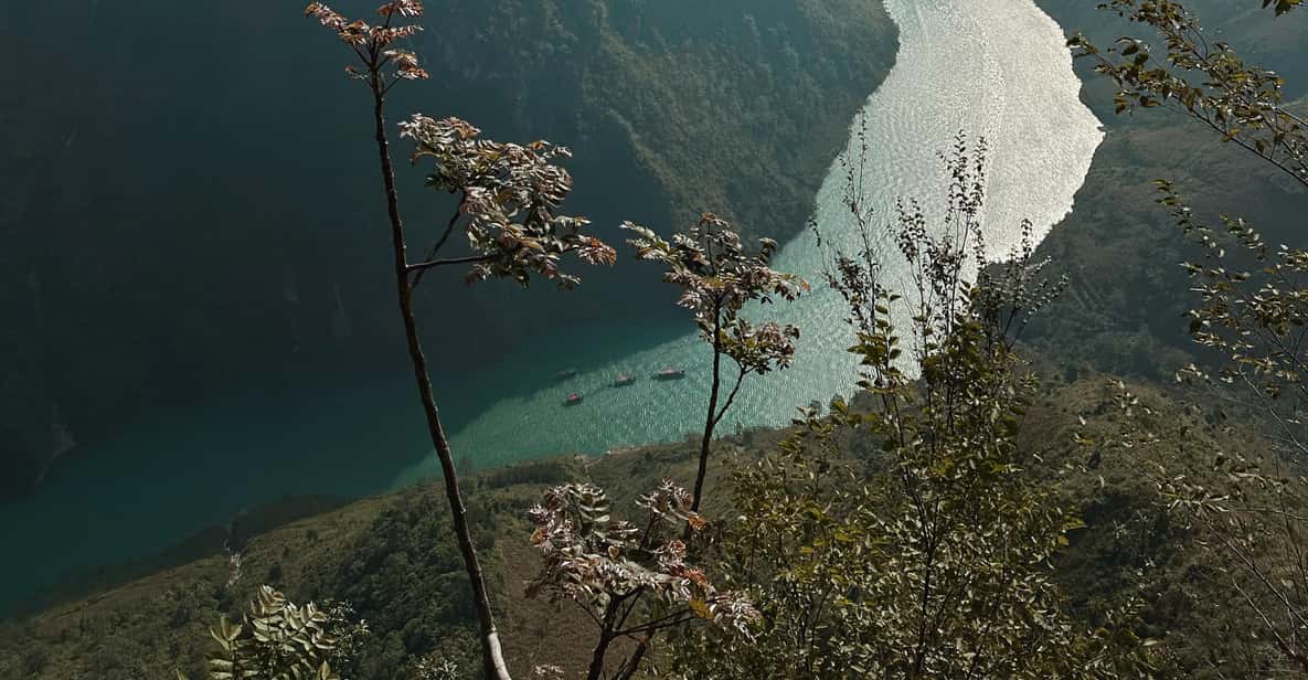 Galería de fotos para redes