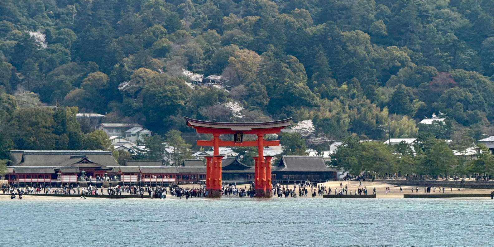 Guest photo from review