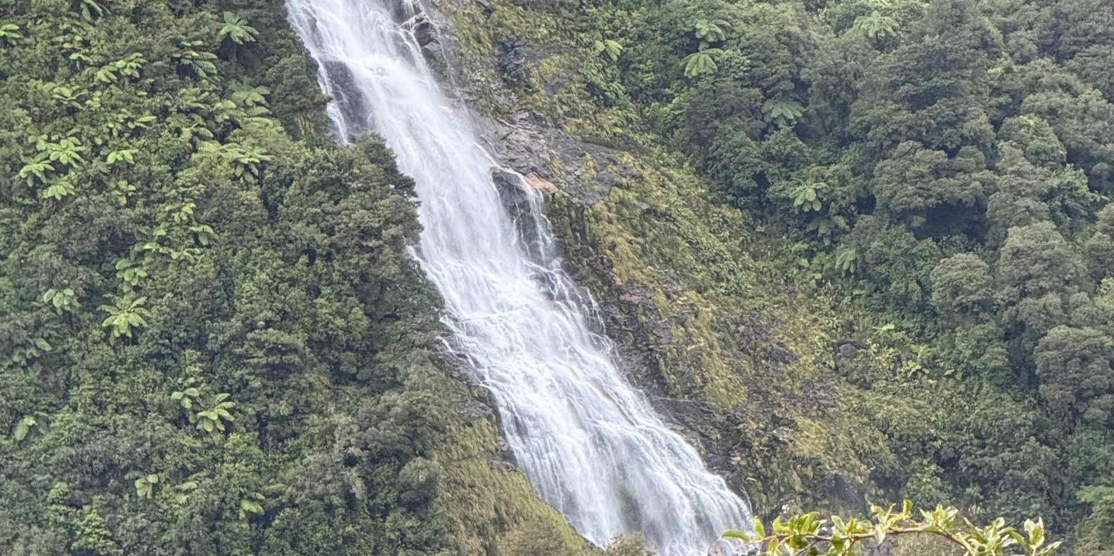 Guest photo from review