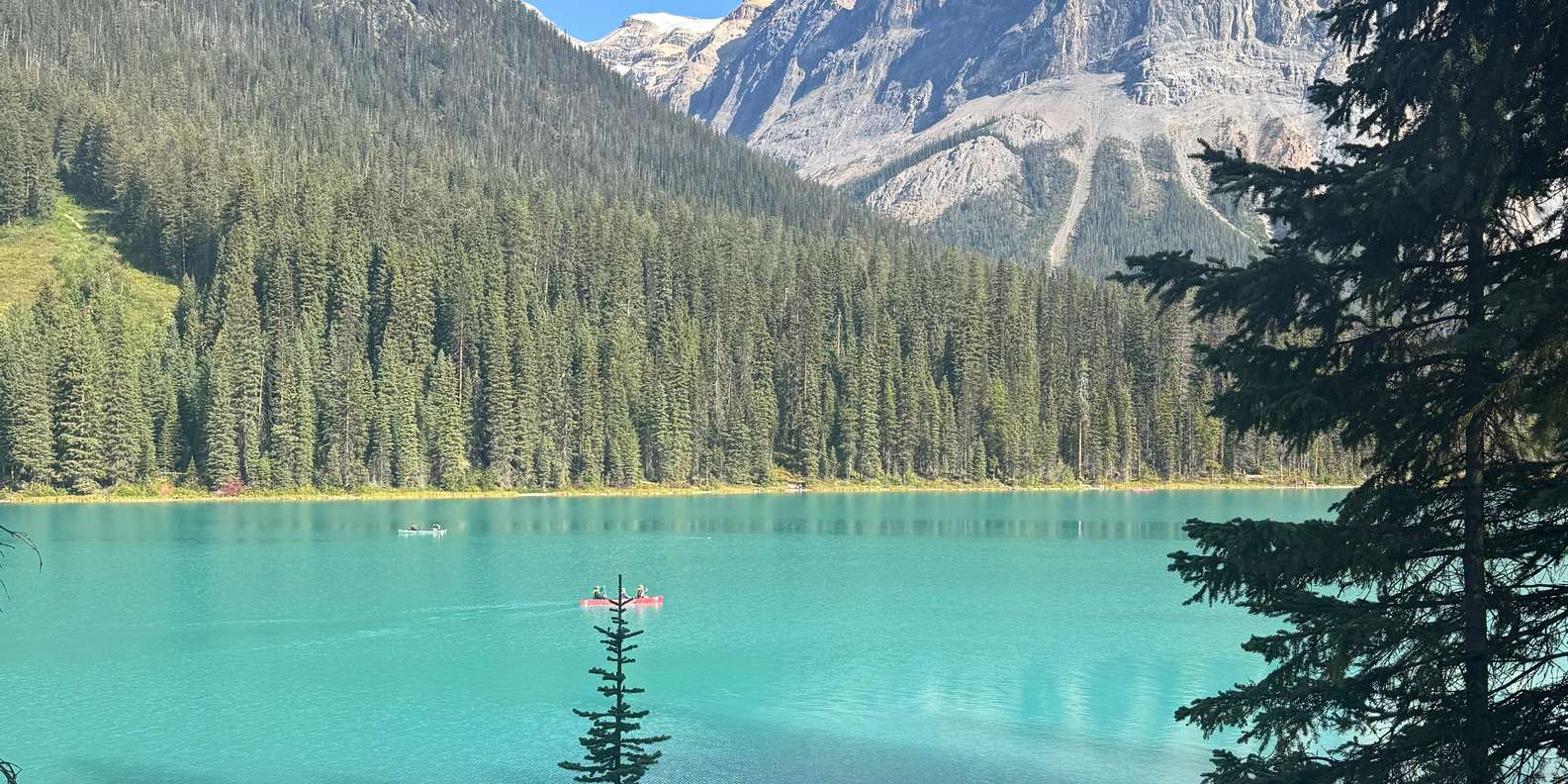 Guest photo from review