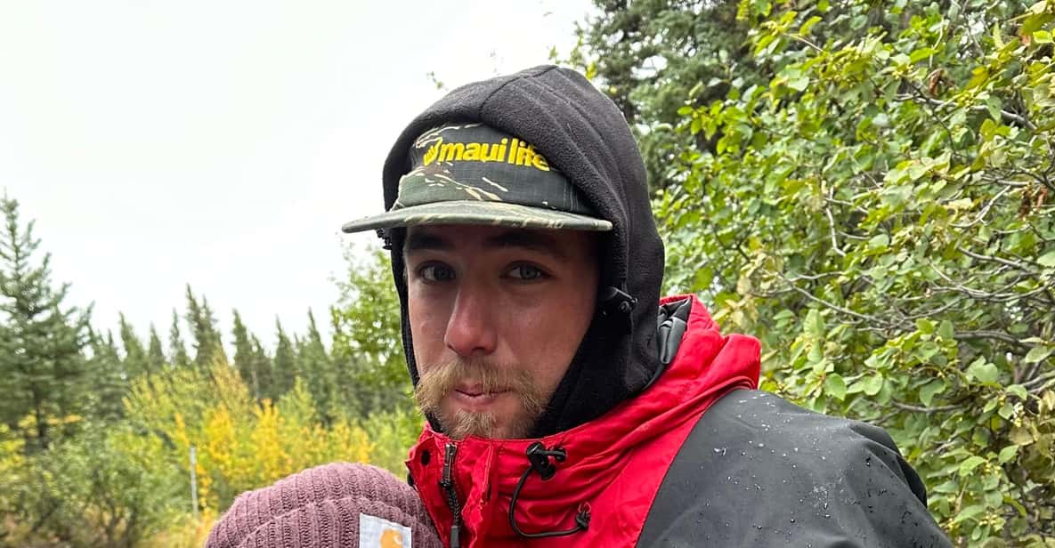 Denali Park Zipline Adventure | GetYourGuide