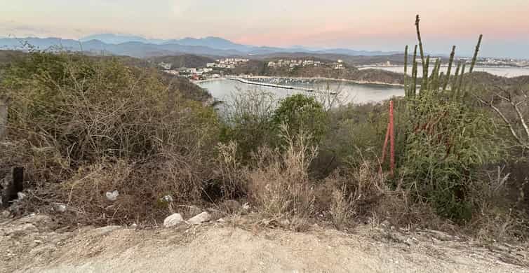 Galería de fotos para redes