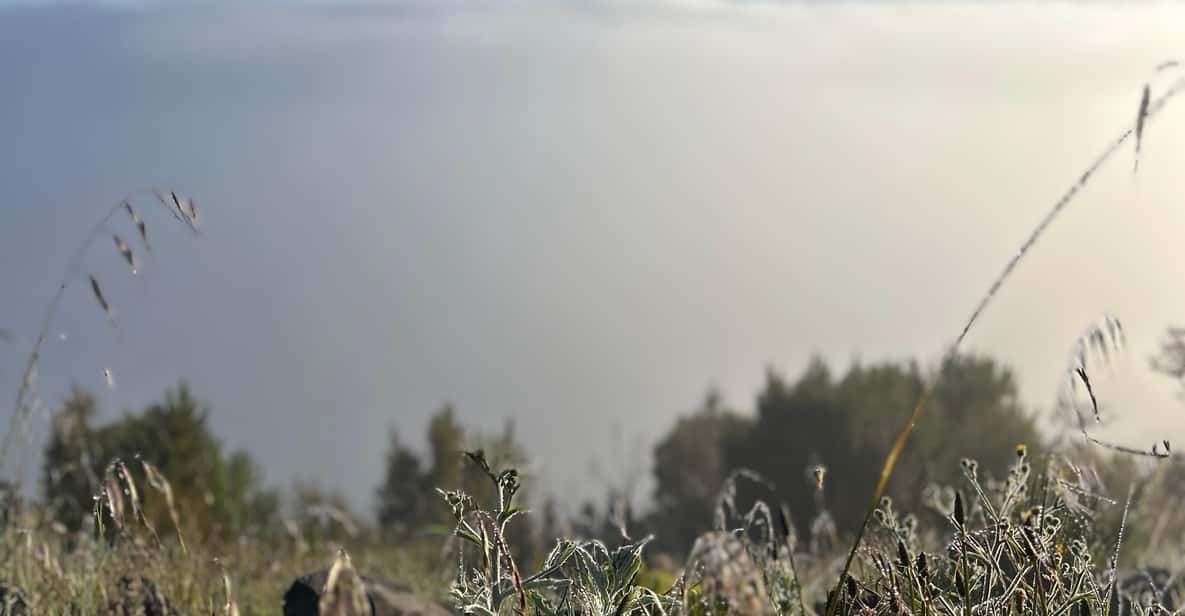 Private Sunrise Hike to Pico Ruivo with Hotel Pickup