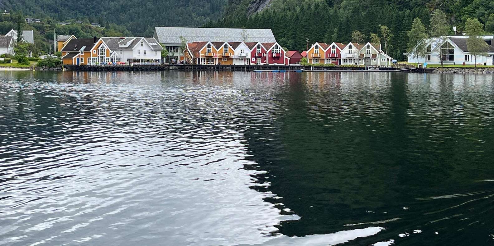 Photo d'un voyageur issue d'un avis