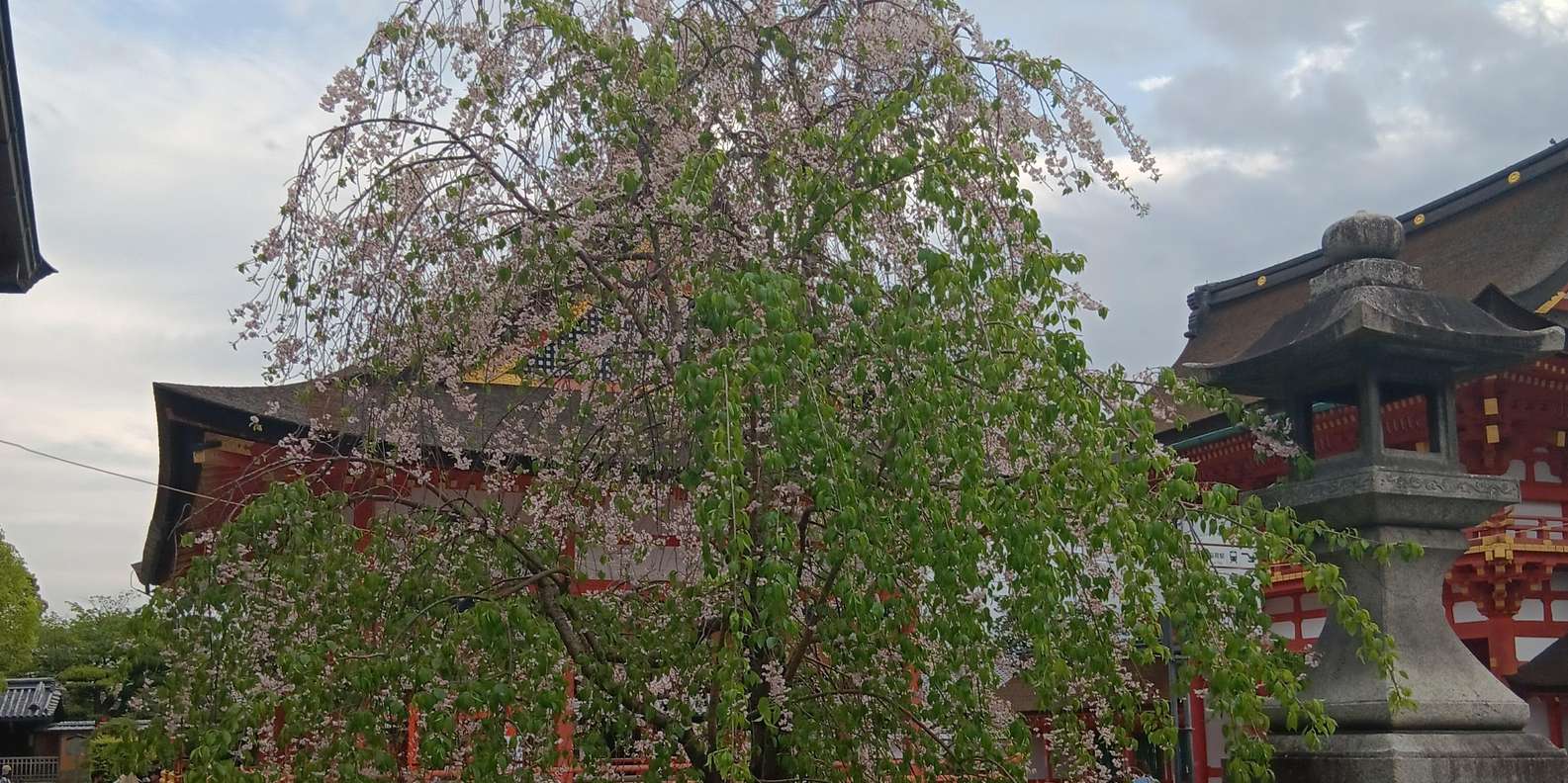 Guest photo from review