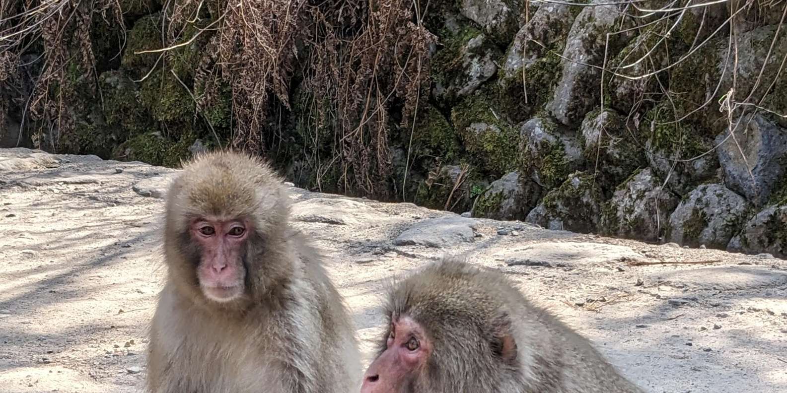 Guest photo from review